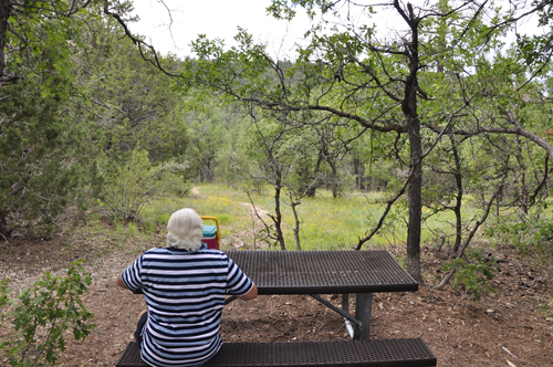 Lee Duquette setting up the lunch table at the Grand Canyon