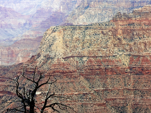 view of the Grand Canyon from Grandview Point