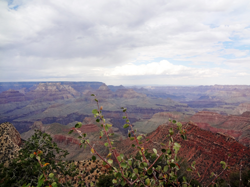  view of the Grand Canyon from Grandview Point