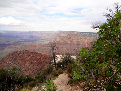 view of the Grand Canyon from Grandview Point