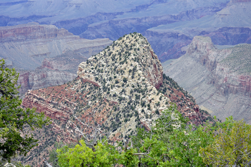 view of the Grand Canyon from Grandview Point