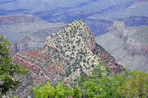 view of the Grand Canyon from Grandview Point