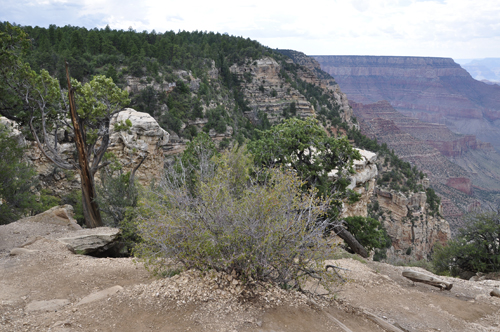 view of the Grand Canyon from Grandview Point