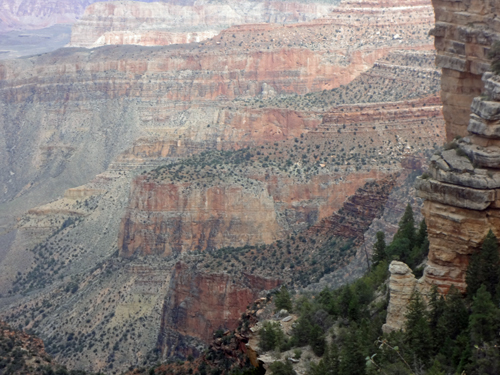 view of the Grand Canyon