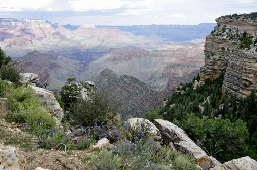 view of the Grand Canyon