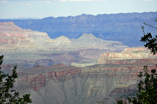 view of the Grand Canyon