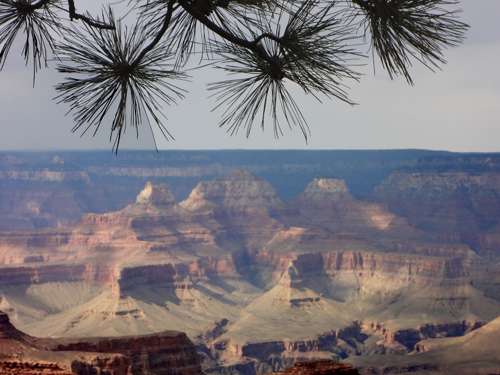 view of the Grand Canyon