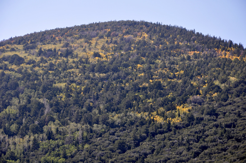 scenery at Mather Overlook at Great Basin National Park