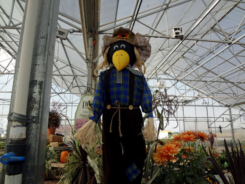 a great scarecrow at McCoard's Garden Center