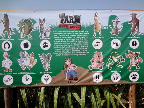 Mccoard's Mystery Corn Maze Instruction Board