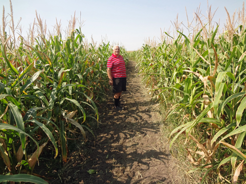 Lee Duquette inside McCoard's Mystery Corn Maze