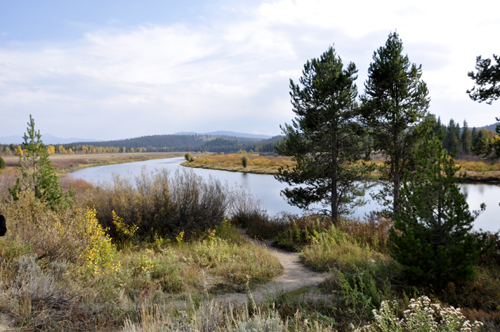 Oxbow Bend at Grand Teton National Park