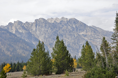 the Grand Tetons Mountain Range