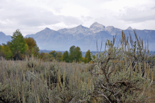 the Grand Tetons Mountain Range