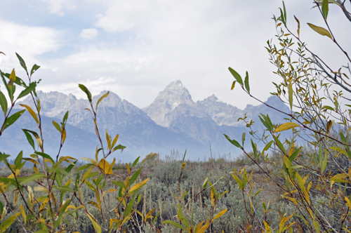 the Grand Tetons Mountain Range