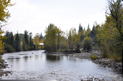 Karen stands by Cottonwood Creek 