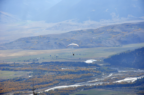 tandem paragliders