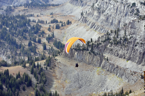 tandem paragliders