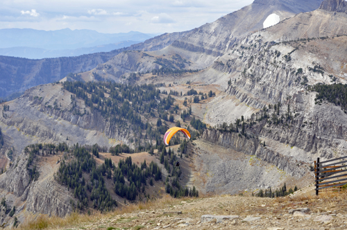 tandem paragliders