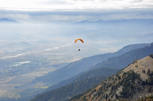 tandem paragliders