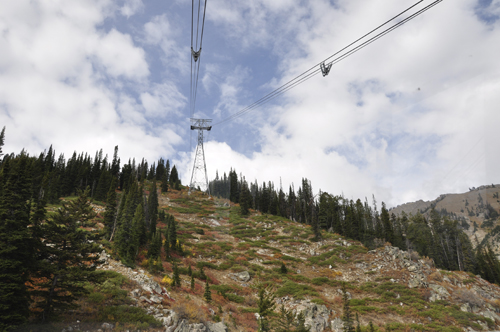 View from the tram going down