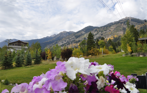 at the bottom of Jackson Hole Mountain