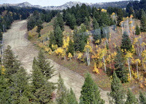 ski lift at Jackson Hole