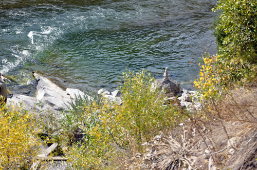 The Snake River