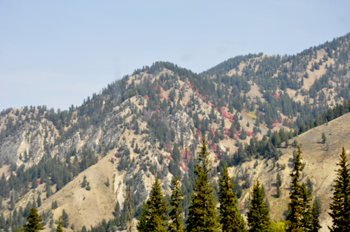 sceneery and fall colors