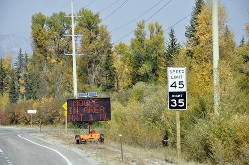 moose in area sign