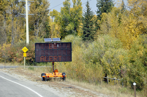 be aware for moose sign