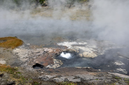 Artesia Geyser 