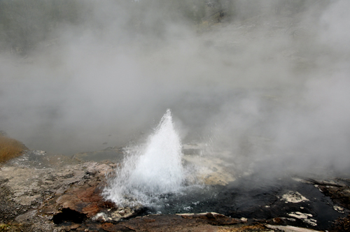 Artesia Geyser 