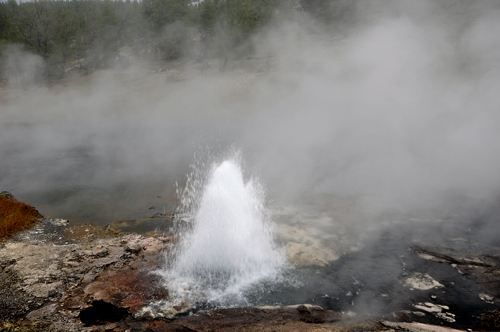 Artesia Geyser 