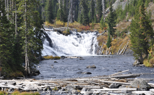 Lewis Falls at Yellowstone National Park