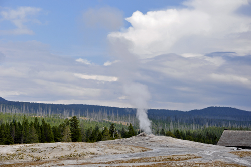 Old Faithful