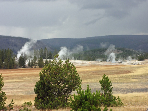 the Upper Geyser Basin