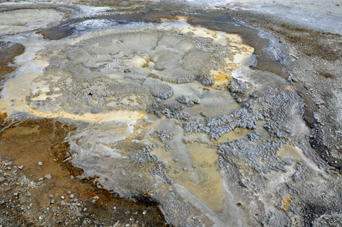 Anemone Geyser