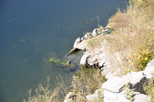 the water flowing into the river