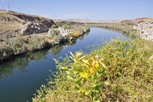 View of the Big Horn River