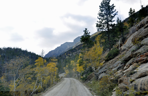 curvy road, fall foliage on Old Fall River Road