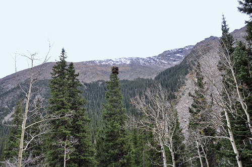 fresh snow is on the mountains