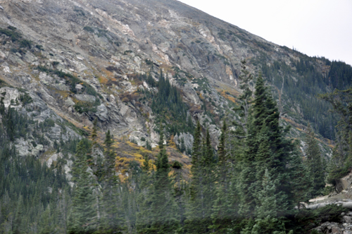 fall foliage on Old Fall River Road 