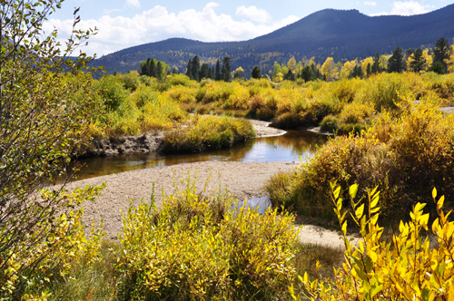 river and fall foliage at Rocky Mountain National Park