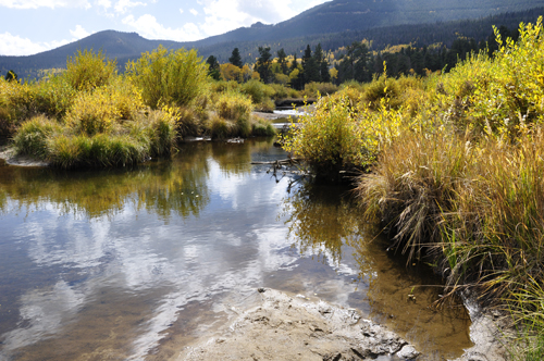 river and fall foliage at Rocky Mountain National Park