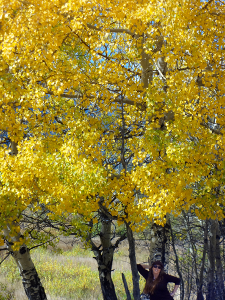 Karen Duquette and fall foliage at Rocky Mountain National Park