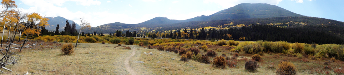 fall foliage at Rocky Mountain National Park