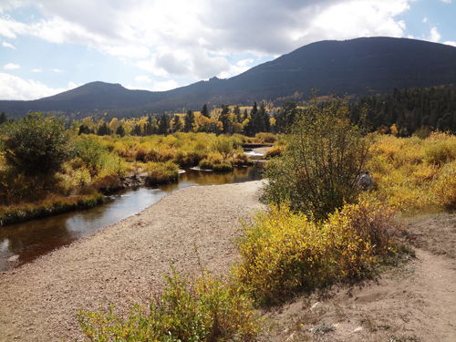 river and fall foliage at Rocky Mountain National Park