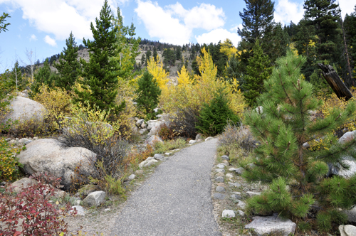 Alluvial Fan path leading to waterfall