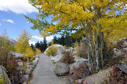 Alluvial Fan path leading to waterfall